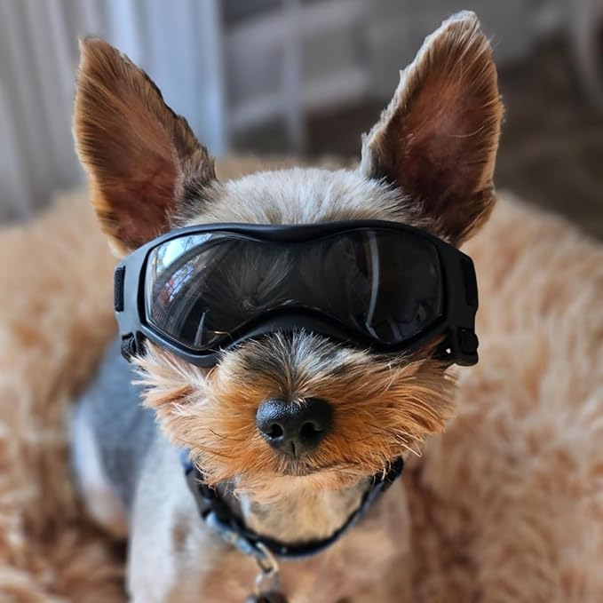 Dog Goggles Small Breed, XS Dog Sunglasses Chihuahua Glasses Anti-UV Eyes Protection for XSmall Pets Tiny Dogs Cats, Black XS