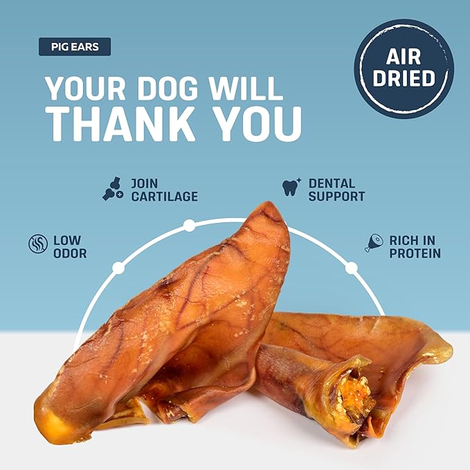 Big Lu – Whole Pig Ears for Dogs, Bulk 30 Count, All-Natural Single-Ingredient Pork Treats for Medium and Large Dogs, Easily Digestible, Supports Joint Health with Glucosamine and Chondroitin