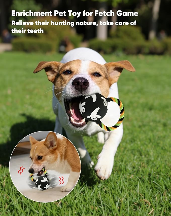 Deeow Alieen Dog Frisbee for Fetch, Teething Clean Outdoor Flying Disc, Interactive Squeaky Dogs Toy for Outdoor Pool, Park, Beach, Bye one get one Gift Black Jack-o-Lantern/Halloween Pumpkin Pet Toy