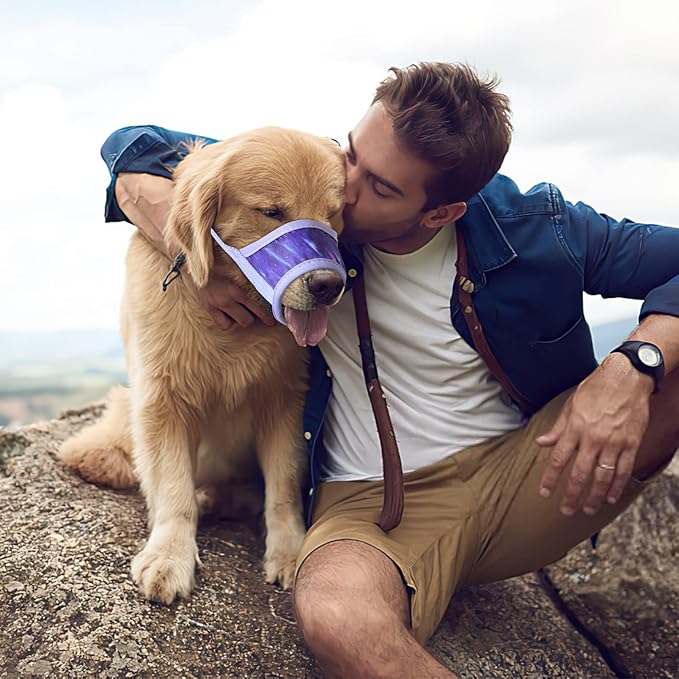 HEELE Dog Muzzle,Soft Nylon Muzzle Anti Biting Barking Chewing,Air Mesh Breathable Drinkable Adjustable Loop Pets Muzzle for Small Medium Large Dogs 4 Colors 4 Sizes (P-Meteor Purple, M)