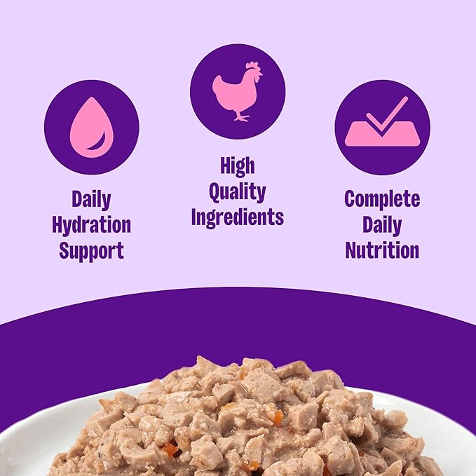 Wellness Complete Health Pate Adult Wet Cat Food,Natural,Protein-Rich,Grain Free,3 Ounce,(Chicken),(Pack of 48)
