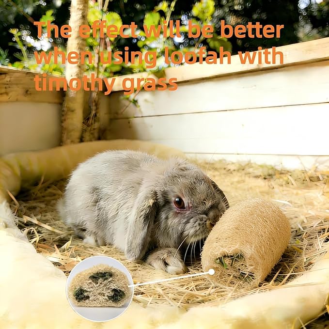6 PCS Rabbit Chew Toys Natural Loofah Guinea Pig Treats Bunny Stuff Cage Accessories for Chinchillas Guinea Pig (6PCS)