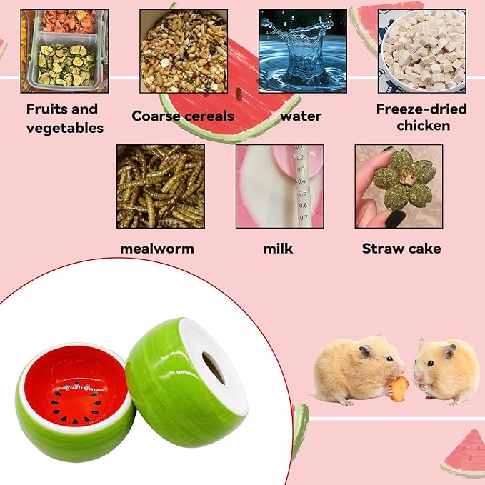 Hamiledyi Hamster Bowl Ceramic Food Water Feeding Dish Guinea Pig Water Rat Bowl for Gerbil Mouse Chinchilla Hedgehog Sugar Glider(2PCS)
