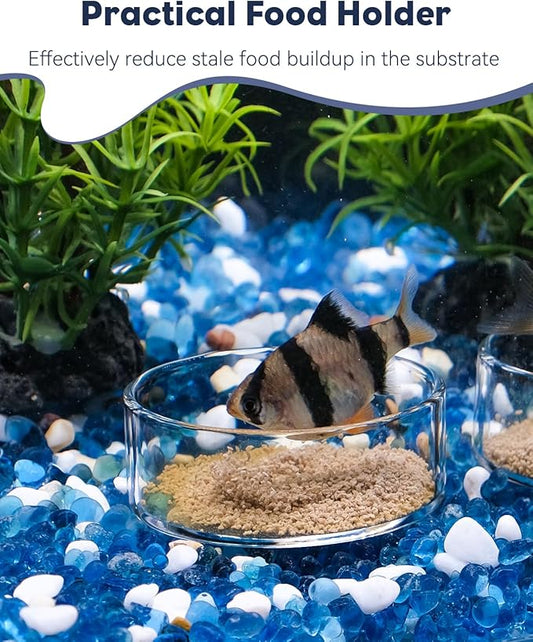 Pawfly Transparent Shrimp Feeding Dish, Clear Glass Aquarium Shrimp Feeder Dish, Food Tray for Fish Tanks and Terrariums (Without Suction Cup)