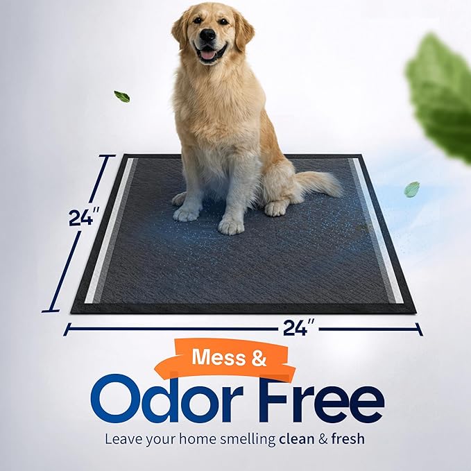 Healqu Puppy Pads Dog Training Pad Black Charcoal, Activated Carbon & Advanced Leakproof Technology (24x24 Pack of 100)