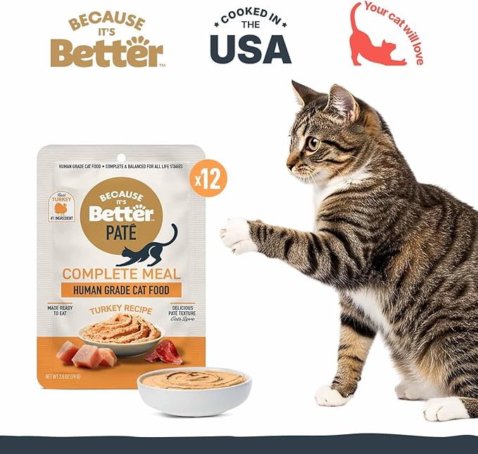Because It’s Better Pate Complete Meal - Wet Cat Food - Real Turkey Recipe - Organic, Balanced, Smooth Pate Texture, Human-Grade Ingredients, Grain Free, 2.6 oz Pouches (12 Count)