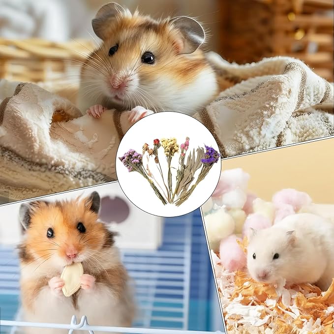Natural Dried Flower Hamster Sprays for Hamster Cages, Decorative Floral Hamster Bedding Decors, Small Animal Houses & Habitats Hamster Cage Accessories