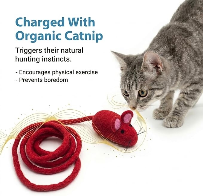 Glaciart One Felt Mouse Cat Toy – Soft Fuzzy Enrichment 100% Natural Wool - Interactive Catnip Play Cat Toy Set - Safe for Pets, Non-AZO Colored Dyes - 100” Long