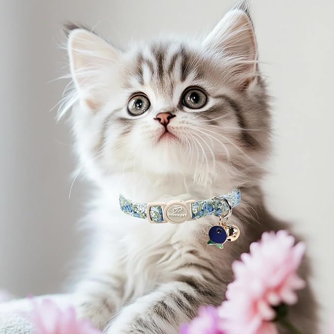 2 Pack Spring Summer Cat Collars - Cute Breakaway Cat Collar with Bell, Bluberry and Strawberry Pendant, Adjustable Kitten Collars for Girl Cats, Pastel Floral Fruit