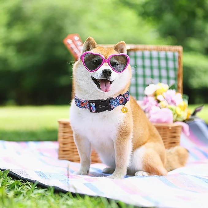 ARING PET Floral Dog Collar, Cute Blue Pink Orange Spring Summer Flower Doggy Pet Collars for Puppy Small Medium Large Girl Female Dogs-M