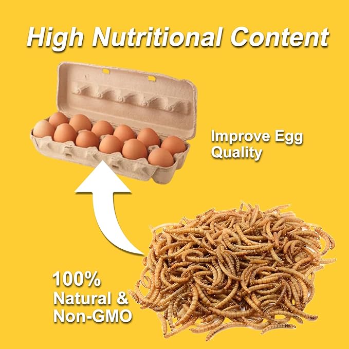 RANZ 5LBS Non-GMO Dried Mealworms for Chickens, High Protein Meal Worms, Premium Chicken Feed, Perfect Bird Food and Chicken Treats, Whole Large Mealworms for Wild Birds, Ducks, Fish