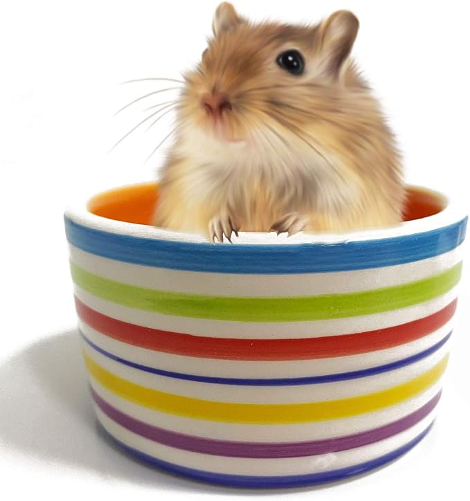 kathson Hamster Bowl Ceramic Small Animal Water Bowl Prevent Tipping Moving and Chewing Food Dish for Guinea Pig Gerbil Ferret Syrian Hamster Chinchilla Rat Hedgehog Bunny (3 Pcs)