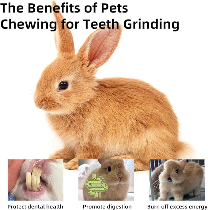 Rabbit Chew Toys, Treats for Guinea Pigs & Hamsters - Natural Chew Sticks & Balls Set for Small Animals, Dental Care Treats for Chinchillas, Bunny - 20+ Toys for Teeth Health (22 Pieces)
