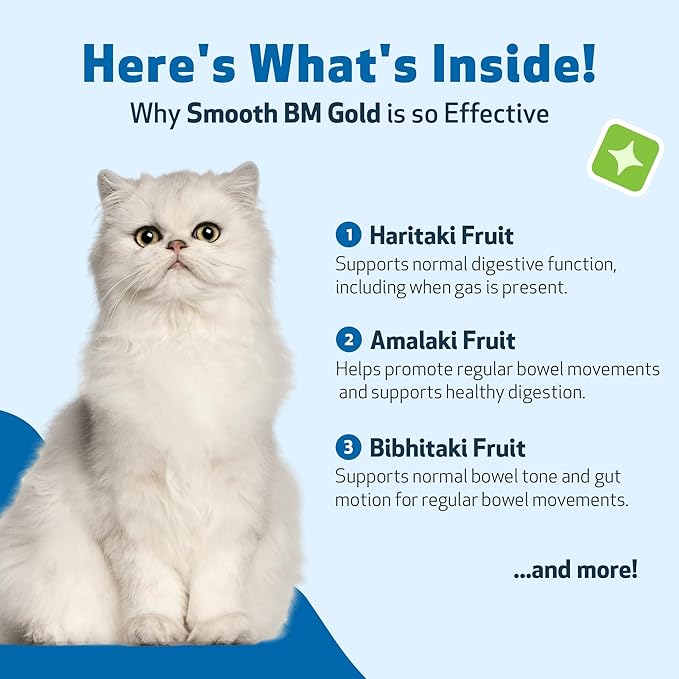 Pet Wellbeing Smooth BM Gold for Dog & Cats - Constipation Relief & Stool Softener, Supports Healthy Bowel Movements - Natural Herbal Supplement 4 oz (118 ml)