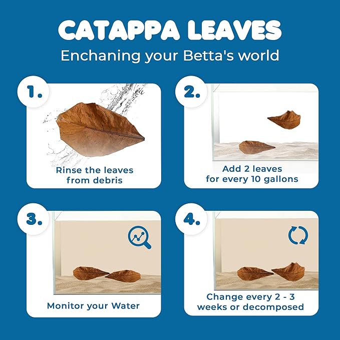 SunGrow 10 Indian Almond (Catappa) Leaves 8″ for Betta Fish – Natural Aquarium Water Conditioner, Adds Tannins, Lowers pH, Fin Growth and Enhances Color, Stress Relief, Water Softening Treatment
