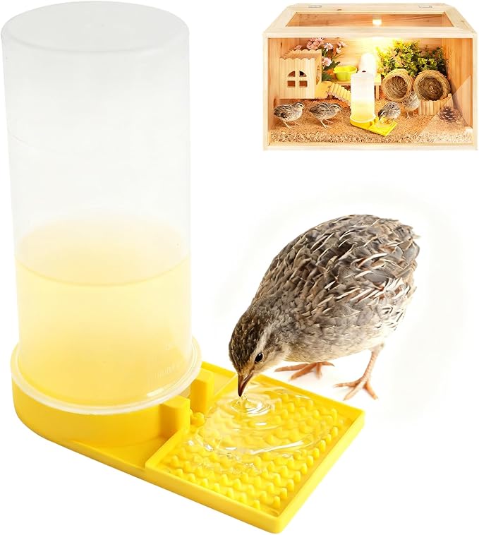 Large Capacity Quail Water Feeder,Button Quail Supplies for Quails Cage, Multi-Use as Quail Feeder, Quail Waterer, Chick Waterer,Baby Chick Waterer, Ideal Quail Feeders for Baby Bird