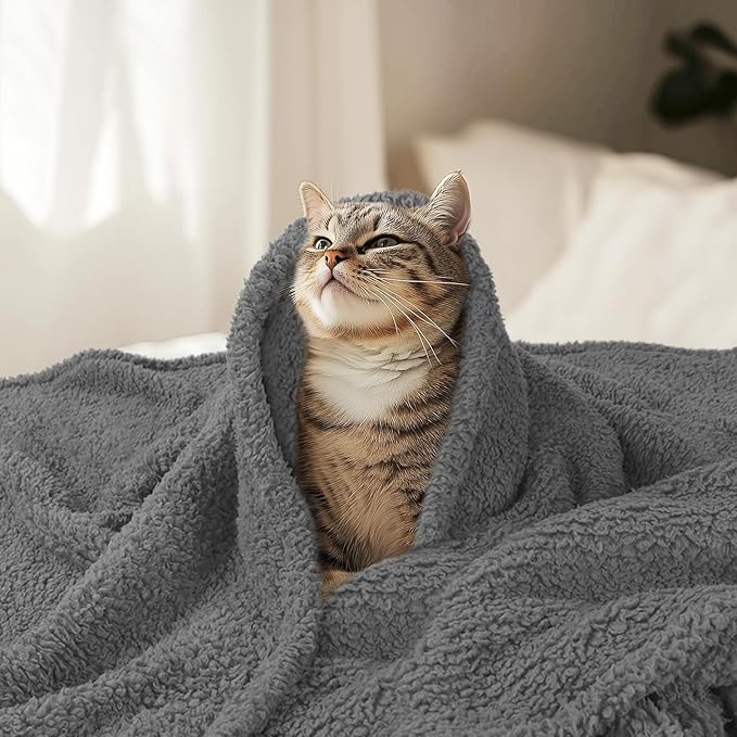 Luciphia Premium Fleece Pet Blanket for Small Medium Dogs Puppy Soft Sherpa Calming Cat Throw Blankets(Grey,41x31 inches)