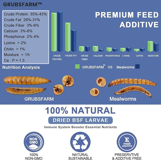 Premium Chicken Treats 10LB - Superior to Dried Mealworms - Non-GMO & 85X More Calcium Than Meal Worms - Molting & Laying Supplement - BSF Larvae Treats for Layer Hens, Ducks Wild Birds