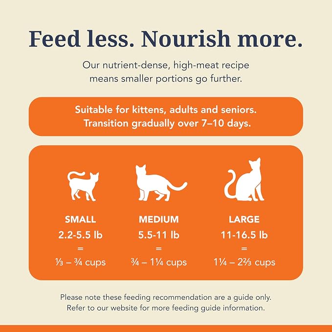 Feline Natural High Protein Dry Cat Food, Freeze-Dried Diet with 98% Meat, Organs & Seafood, No Peas, Grains, or Artificial Additives, Made in New Zealand, Beef, 11oz