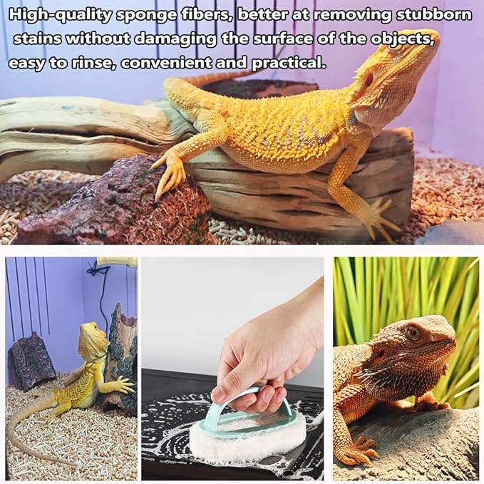 6-Piece Bearded Dragon Tank Cleaning Set, Reptile Enclosure Cleaning Tool Set with Bearded Dragon Nail Clippers&Cleaning Cloth, Brush, Scraper & Mini Dustpan for Lizard & Gecko Terrarium Maintenance