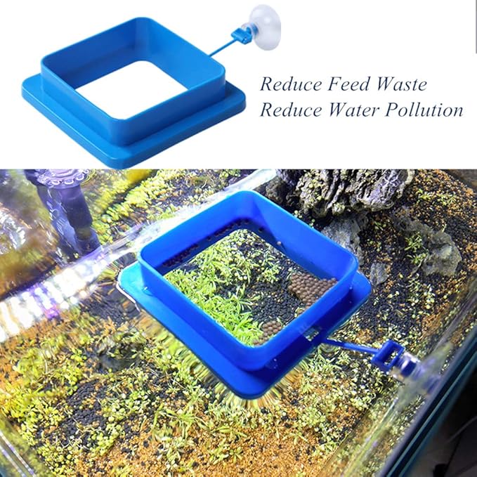 Fish Feeding Ring, Floating Food Feeder Thicken Square, Reduces Waste and Maintains Water Quality, for Flakes and Floating Fish Foods, for Guppy, Betta,