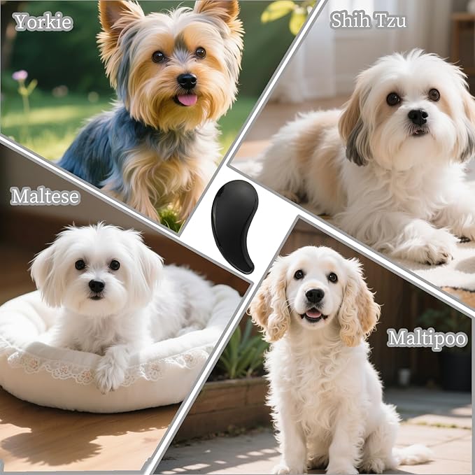 Comma-Shaped Small Dog Brush, Fit for Yorkie, Shih Tzu, Maltese Maltipoo Pomeranian - Gentle Soft Bristles for Effortless Pet Hair Removal, Puppy Essentials (Black)
