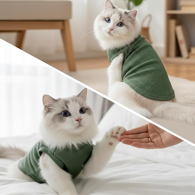 Waffle Knit Cat & Dog T Shirt for Small Dogs, Stretchable Puppy Shirt for Sphynx Cats & Small Breeds, Pet Clothes | Breathable Summer/Winter Apparel for Newborn(Purple&Blue&Green Small)
