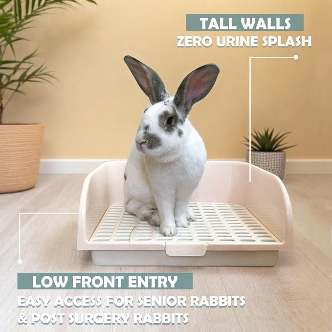 Kiwi & Mora Rabbit Litter Box - Extra Large Bunny Litter Box with Grate | 17.1"x12.8", Pee Pads & Cleaning Set – Potty Training Litter Pan for Large Breed Rabbits, Guinea Pig, Ferret, Chinchilla