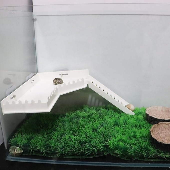 No-Drill Climbing Platform with Ramp, Hermit Crab Climbing Wall & Hideout, Multi-Level Platform with Ladder, No-Tools Mounting for Geckos, Small Lizards, Hamsters