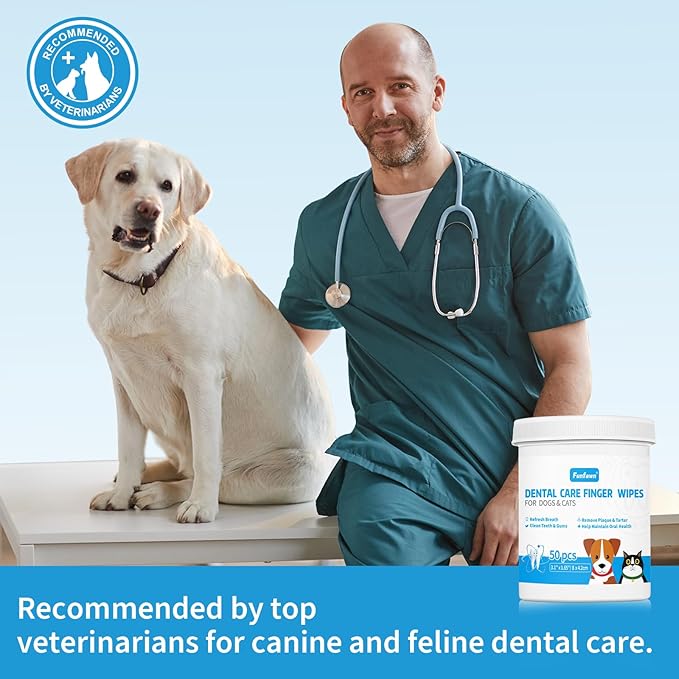 Dog Teeth Cleaning Finger Wipes - Pet Dental Care Wipes for Dogs & Cats - Freshens Breath - Remove Plaque and Tartar - 52 Count - Green Tea Scent