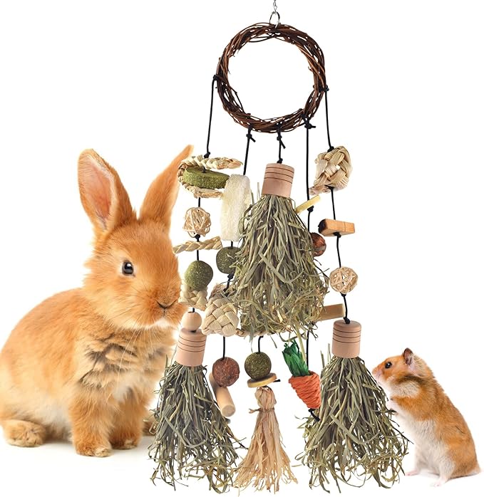 Bissap Rabbit Chew Toy, Bunny Cage Hanging Chewing Toys and Treats Wooden with Snacks for Guinea Pigs Chinchillas Hamsters Rats and Other Small Pets Teeth Grinding (Timothy Hay & Vine)