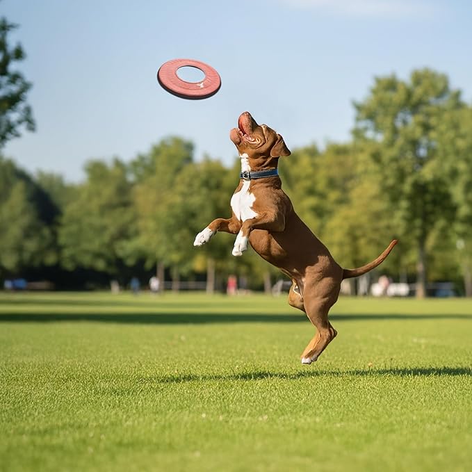 OllyDog Mini Super Flyer, Floating Dog Disc for Water Play – Soft Durable Dog Fetch Toy, Eco-Friendly Recycled Material, Gentle on Teeth, Lightweight Flying Disc for Medium, Small Dogs (Desert, 9")