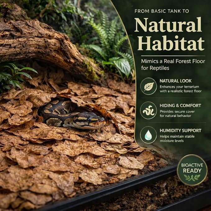 MAQIHAN Dry Oak Leaf Litter for Reptiles – 5 oz Whole Natural Oak Leaves Substrate for Isopods & Bioactive Terrarium Forest Floor Habitat, Premium Enclosure Bedding