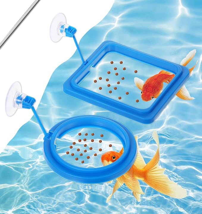 Fish Feeder Ring, 4 Pack Fish Feeding Ring Round and Square Floating Food Feeder with Suction Cup for Betta, Goldfish, Guppy, Turtle