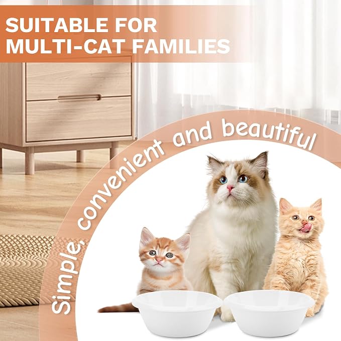 2PCS Cat Bowls Pet Feeding Dish 6.3 Inch, Wide Pet Bowl Pet Feeding Bowl for Indoor Cats, Replacement Food and Water Bowl, Wide Shallow Feeder Bowls for Kitten, Puppy, Rabbit (White)