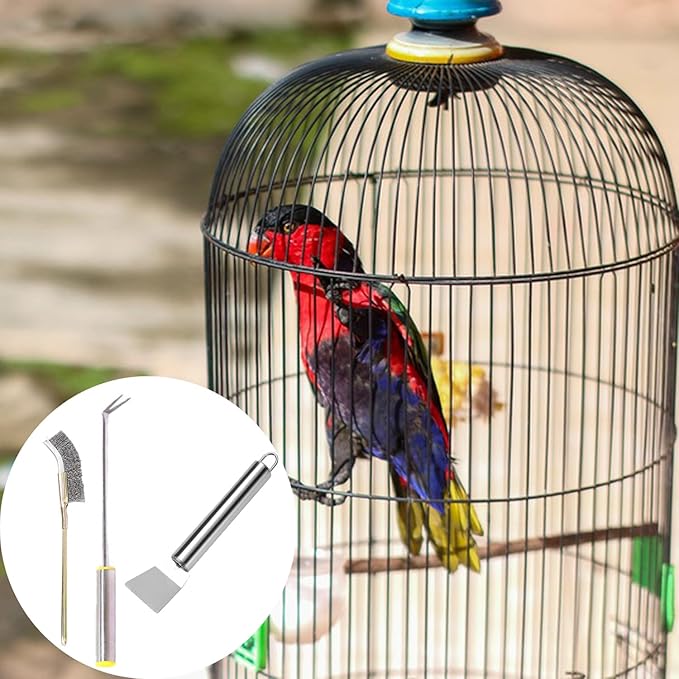 3 Pack Bird Droppings Cleaning Brush Kit Bird Cage Cleaning Tool Set Heavy Duty Bird Droppings Scraper Fork Bird Poop Remover for Parakeet Cage Budgie African Grey Conure Shanghai Parrot Cages