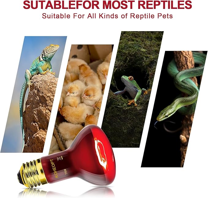 75W Reptile Heat Lamp Bulb, Infrared Heat Emitter Red Heat Lamp for Reptile Amphibian, Infrared Basking Spot Light Bulb,Red Heat Lamp for Chickens、Lizards、Snakes、Turtles 2-Pack