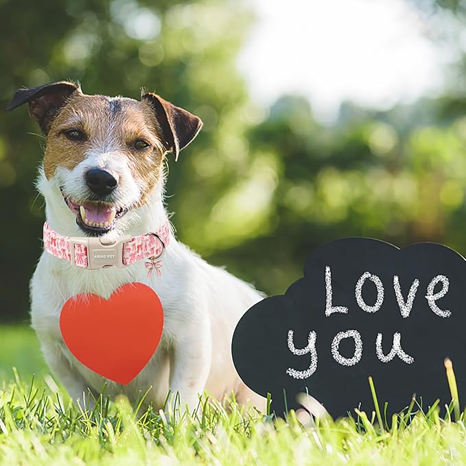 ARING PET Girl Dog Collar, Cute Spring Summer Pink Bow Puppy Pet Collars Necklace for Small Medium Large Female Dogs-XS