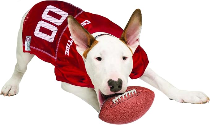 NCAA College Alabama Crimson Tide Mesh Jersey for Dogs & Cats, Small. Licensed Big Dog Jersey with Your Favorite Football/Basketball College Team (Pack of 2)