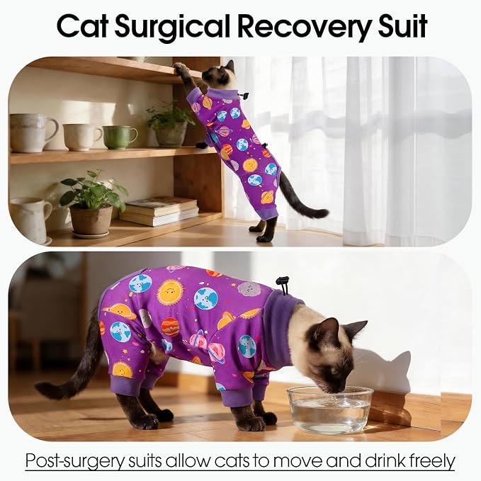 DENTRUN Cat Clothes for Hair Control with Hair Sticky Fabric - Soft Recovery Suit & Breathable Lint-Resistant Cat Sweater for Cats Only, Kitten Onesie Pajamas, M, Purple