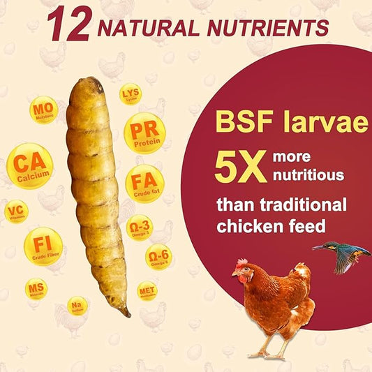10LB Dried Black Soldier Fly Larvae for Chickens, Non GMO 86X More Calcium BSF Larvae Than Mealworms for Chickens & Birds, Natural Chicken Feed Bulk, Chicken Worms Treats, Wild Birdseed Attractant
