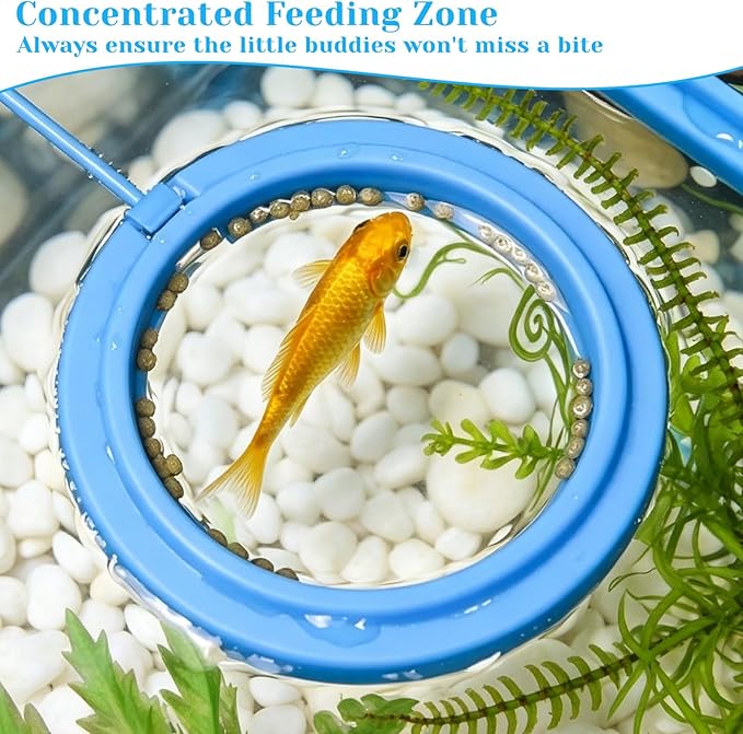 4 Pcs Fish Feeding Ring, Round & Square Floating Aquarium Feeding Ring with Suction Cup, Easy to Use for Betta, Goldfish, Guppy, Turtle & Small Fish (Blue)