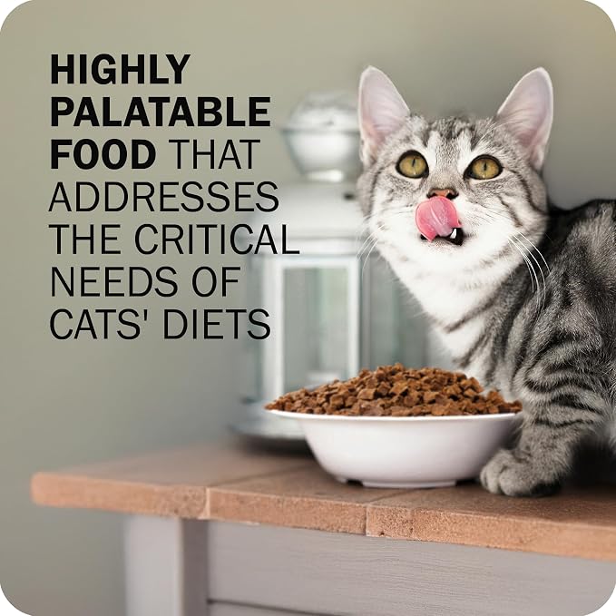 Redbarn Air Dried Powerfood for Cats with Real Chicken – Made in USA High Protein, Grain-Free Dry Cat Kitten Food Full Meal or Topper for Picky Eaters Supports Energy & Healthy Skin Coat – 2.5oz Trial