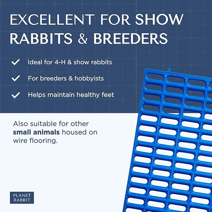 Premium Rabbit Cage Mats (Blue, 6 Pack) | Heavy Duty ABS Wire Floor Protectors | Prevent Sore Hocks & Feet for Bunnies | 15x10 in Floor Mat | Chew Resistant, Dishwasher Safe