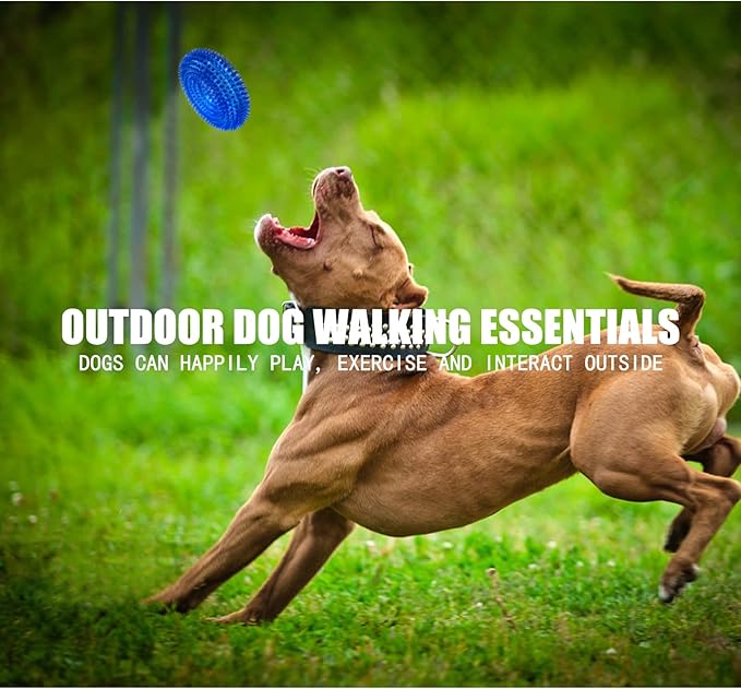 Andiker Squeaky Dog Toy, Safe TPR Chewable Dog Toys for Teeth Grinding&Cleaning Dog Fetch Toys for Enhancing Interactivity Outdoor Suitable for All Dog Sizes Puppy’s Gifts and Dog Lovers (Large)