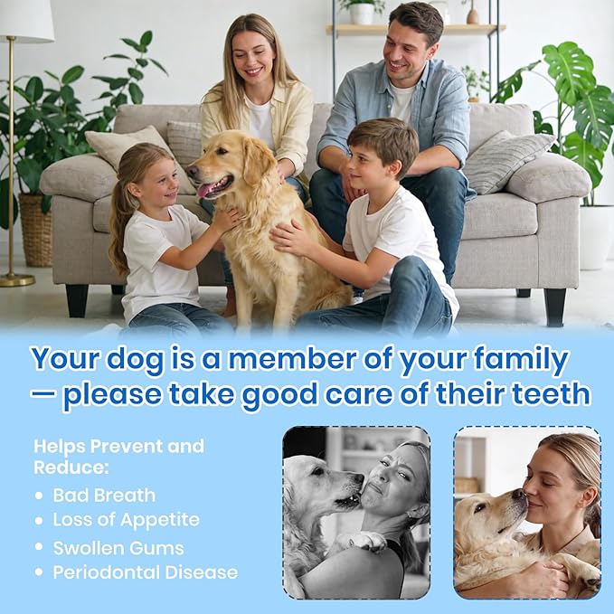 Dog Plaque Remover for Teeth,Pet Ultrasonic Tooth Cleaner with LED Light,Cleaning Kit for Tartar and Stains,5 Adjustable Modes,Pet Teeth Cleaning kit,Suitable for Dogs and Cats (Green)