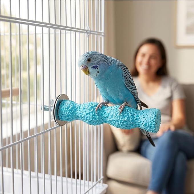 4-Piece Bird Perch Set for Parakeet Cages, Bird Beak Grinding Stone, Natural Volcanic Rock Bir-d Cage Accessories, Durable Bi-rd Perch Toys for Small Birds