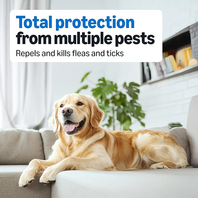 Amazon Basics Preventative Flea and Tick Topical Treatment for Medium Dogs (23-44 lbs), Up to 30 Days Protection, Fast Acting, 6 Counts, Packaging May Vary