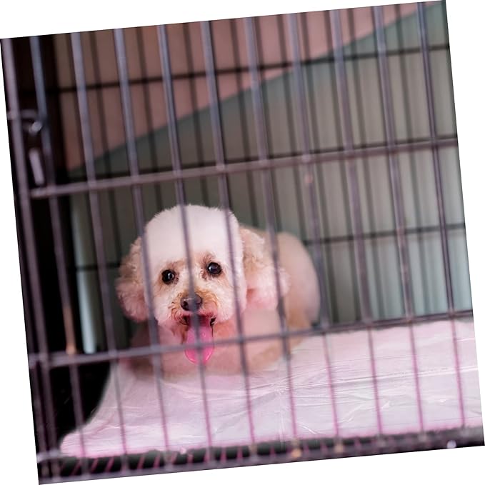 Toyvian 100Pcs Disposable Rabbit Cage Cleaning Pads Leak Pet Cage Accessory Bottom Film for Animals and Pet Care and Maintenance