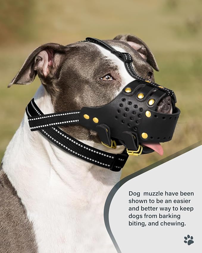 MIDOG Breathable Leather Basket Dog Muzzle for Large Medium Breeds, Anti-Biting Barking Chewing Secure Fit Muzzle for Pitbull German Shepherd, Professional Grooming & Vet Visit, Adjustable XL